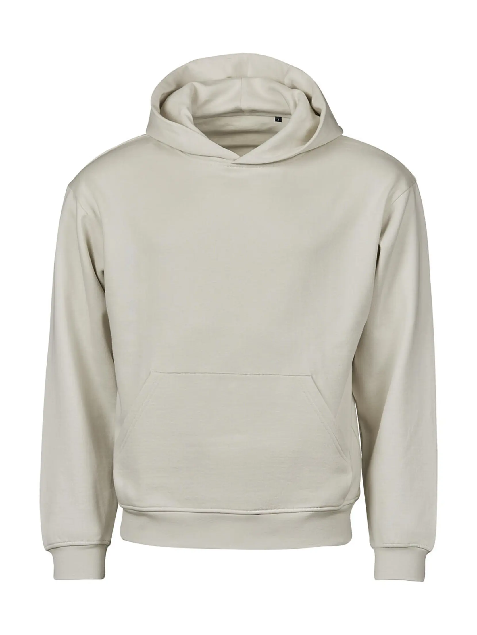Bild på Urban Heavy Loose Fit Hooded Sweatshirt
