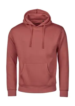 Bild på Urban Hooded Sweatshirt