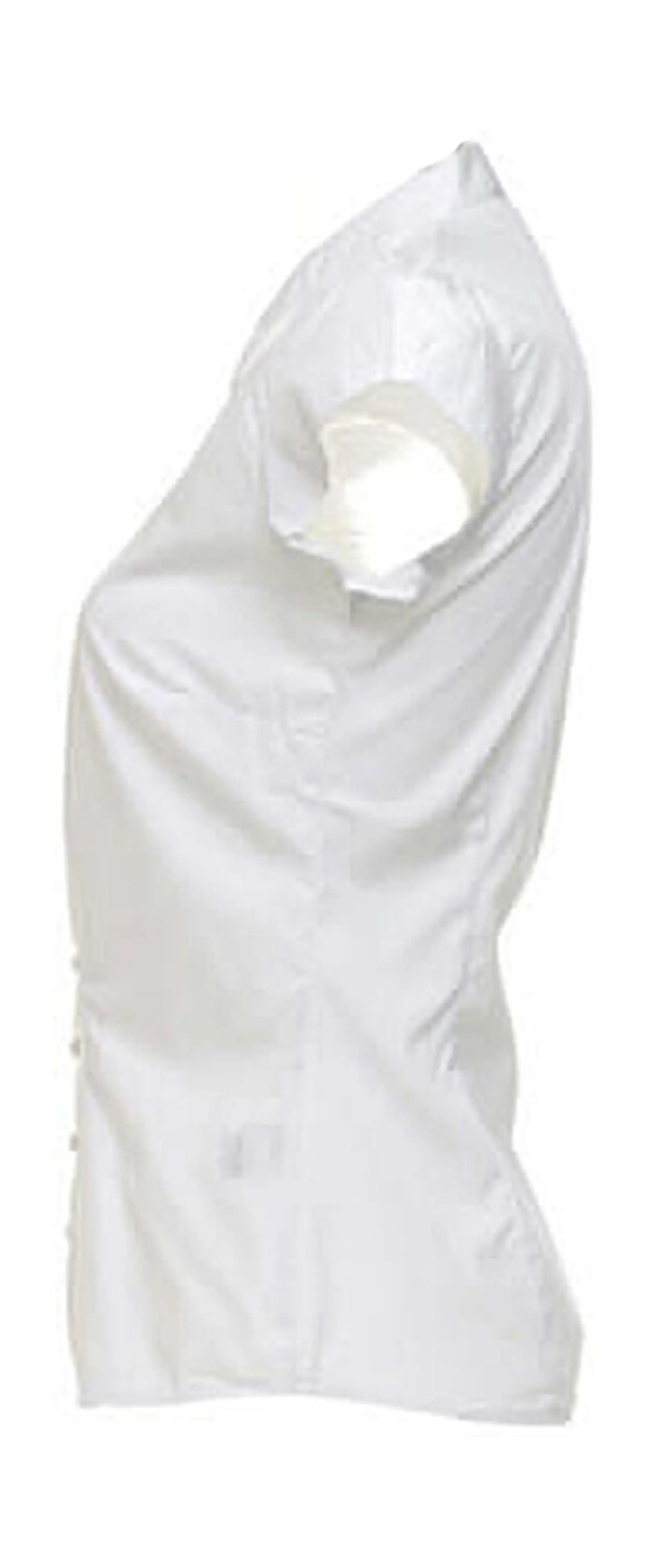 Bild på Women's Tailored Fit Mandarin Collar Blouse SSL