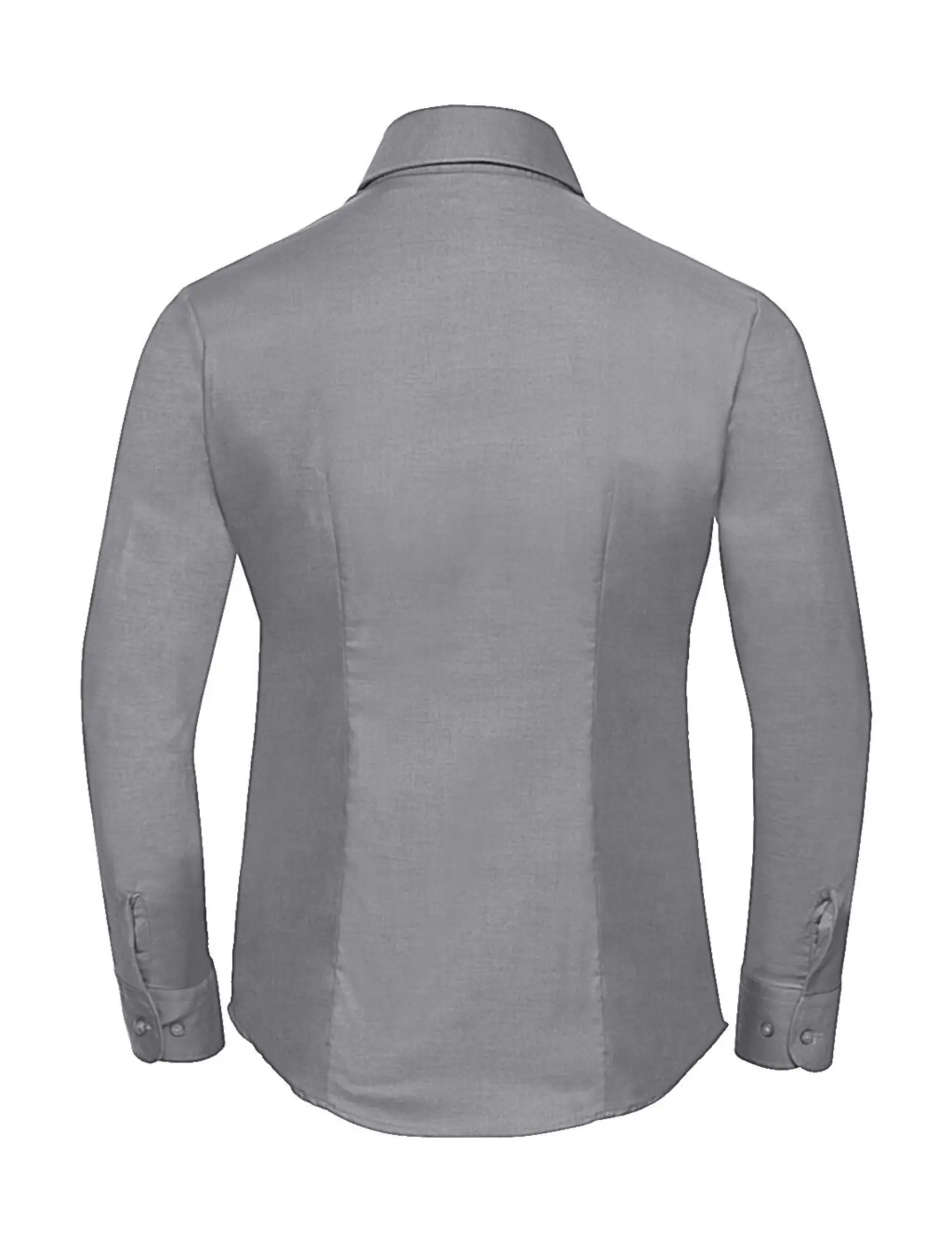 Bild på Ladies Oxford Blouse LS