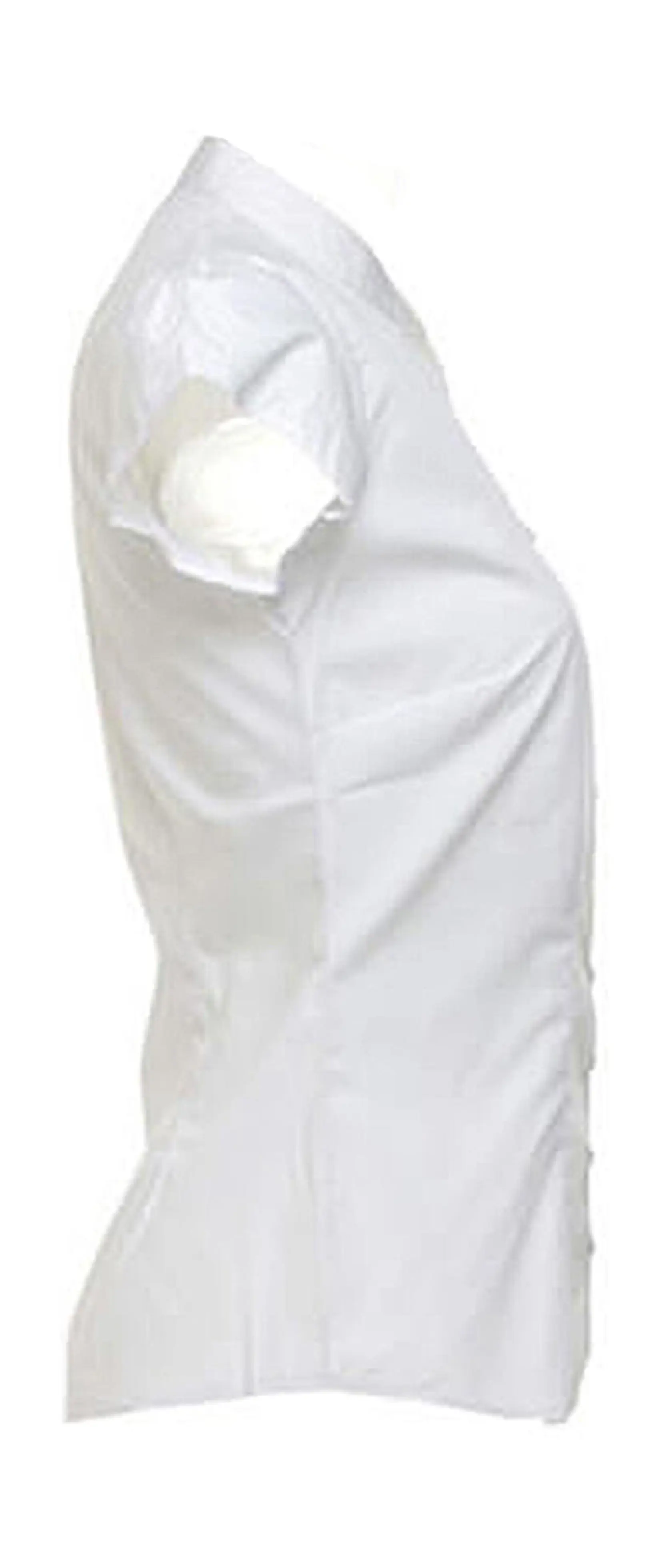 Bild på Women's Tailored Fit Mandarin Collar Blouse SSL