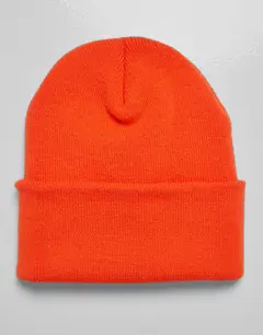 Bild på Classics Thinsulate Cuffed Beanie