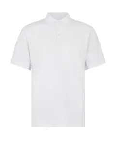 Bild på Regular Fit Superwash® 60º Jersey Polo