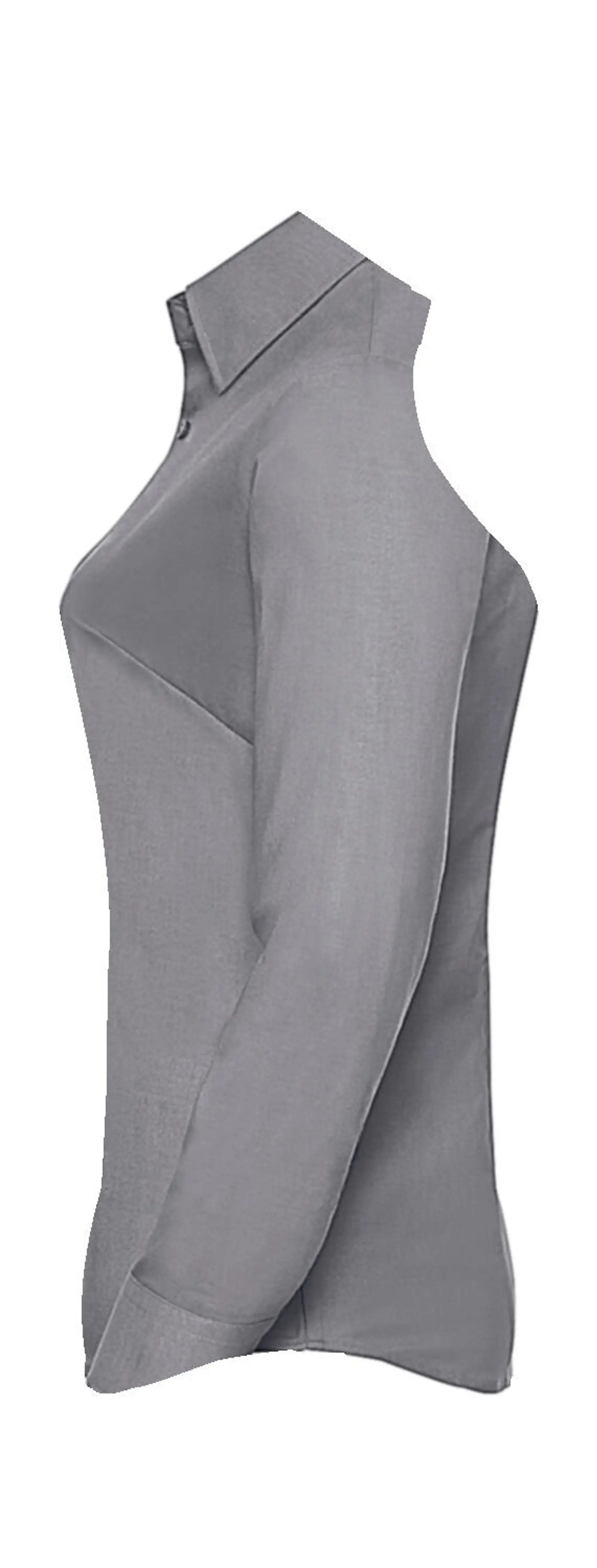 Bild på Ladies Oxford Blouse LS