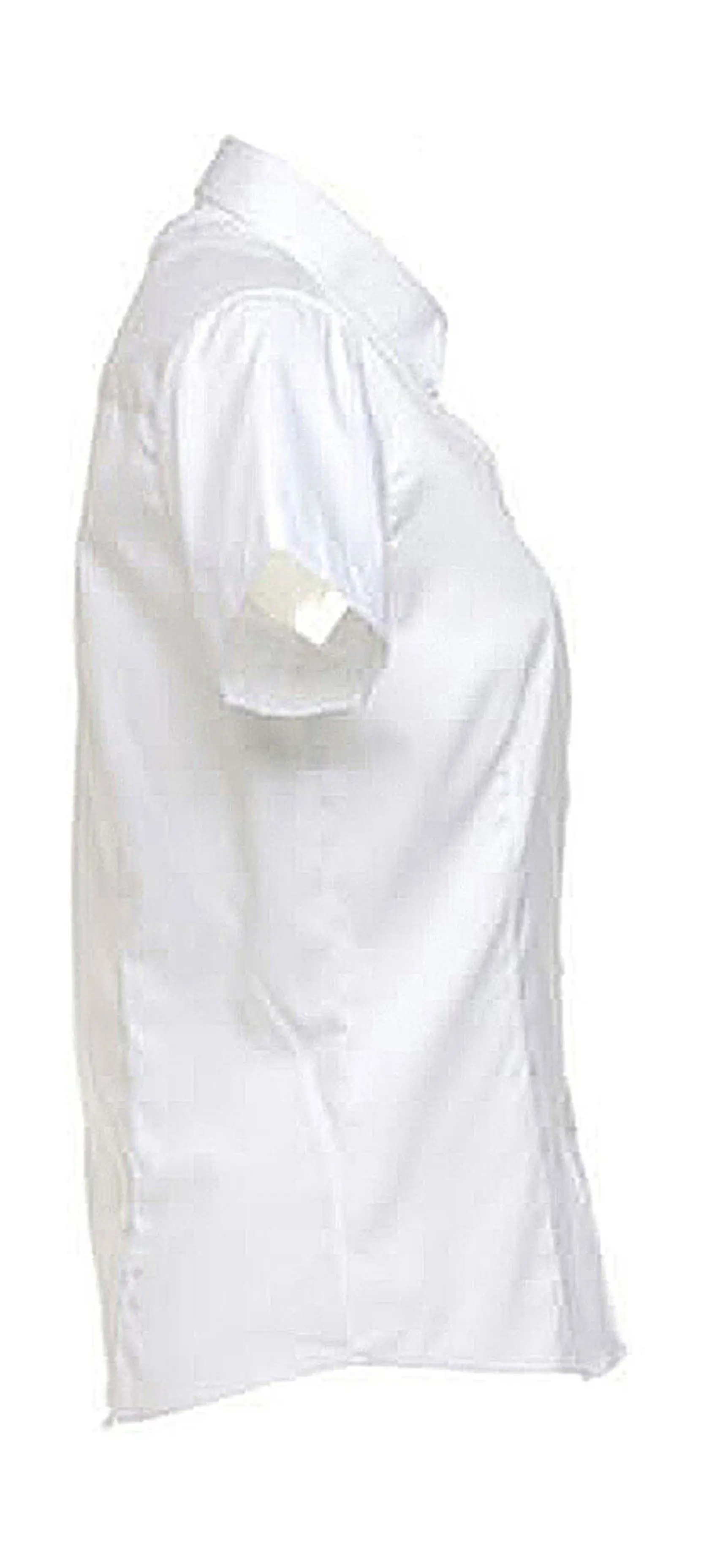 Bild på Women's Tailored Fit Premium Oxford Shirt SSL