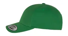 Bild på Curved Classic Snapback