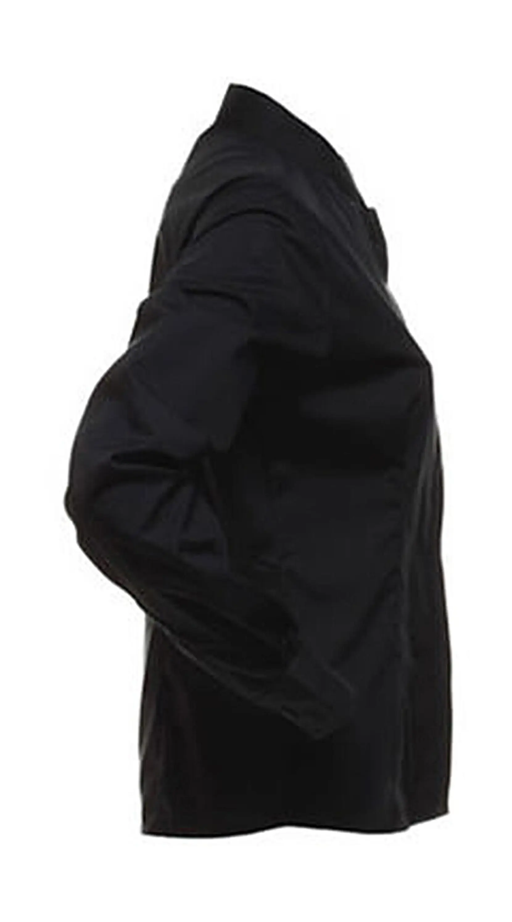 Bild på Women's Tailored Fit Mandarin Collar Shirt