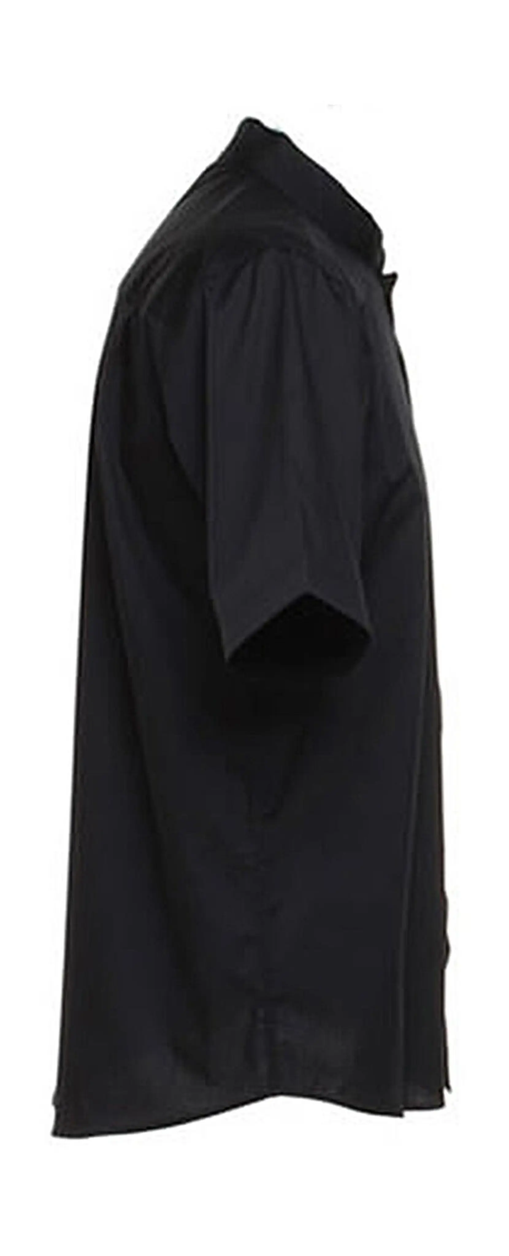 Bild på Tailored Fit Mandarin Collar Shirt SSL
