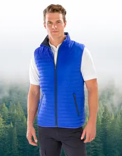 Bild på Thermoquilt Gilet