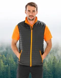 Bild på Thermoquilt Gilet