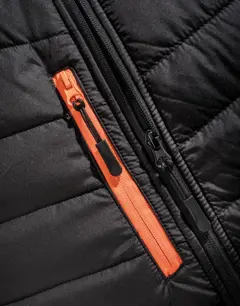 Bild på Compass Padded Softshell