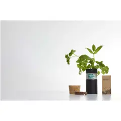 Bild på Hey Pots skrivbordsträdgård med blomsterblandning