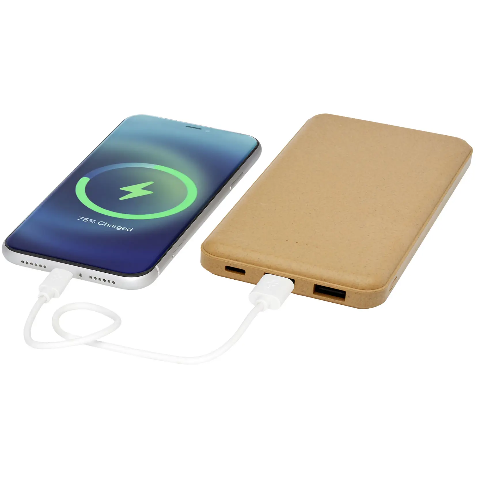 Bild på Eco 10 000 mAh powerbank