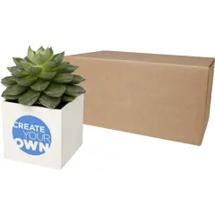 Bild på Hey Pots planteringskruka i aluminium, suckulent