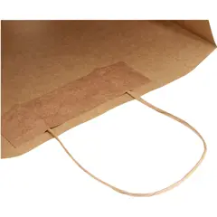 Bild på Kraftpapperspåse 120 g/m2 med tvinnade handtag  – large