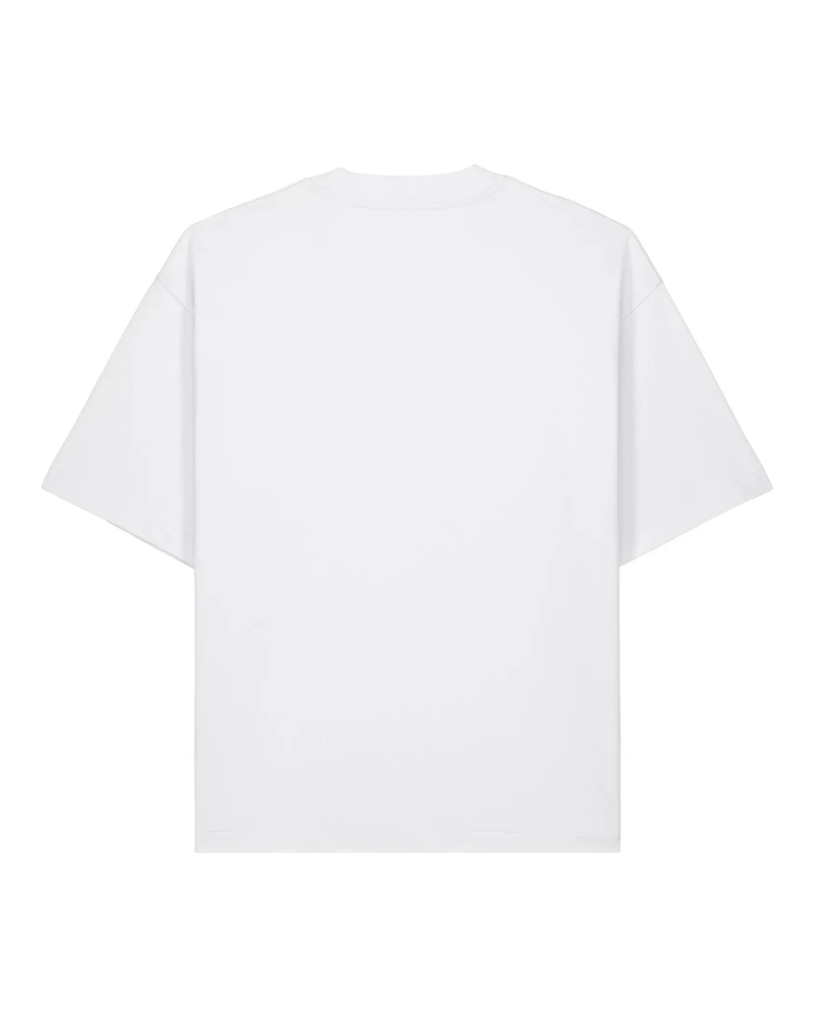 Bild på Asher The unisex heavy weight boxy t-shirt
