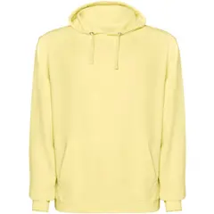 Bild på Kenia unisex hoodie