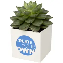 Bild på Hey Pots aluminium planted pot - succulent