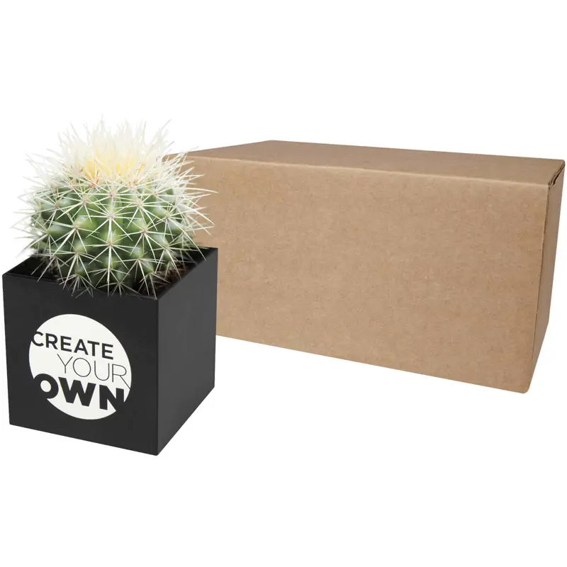 Bild på Hey Pots aluminium planted pot - cactus