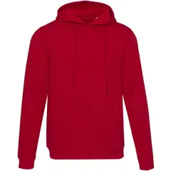 Bild på Spinel unisex huvtröja