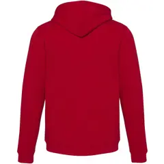 Bild på Spinel unisex huvtröja