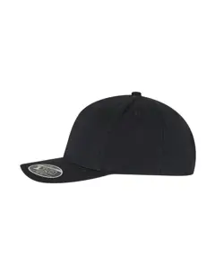 Bild på Flexfit 110 Curved Snapback