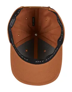 Bild på Flexfit 110 Curved Snapback