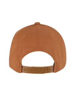 Bild på Flexfit 110 Curved Snapback