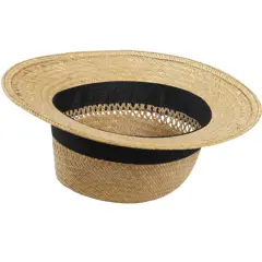 Bild på Citizen Green Astaire panamahatt