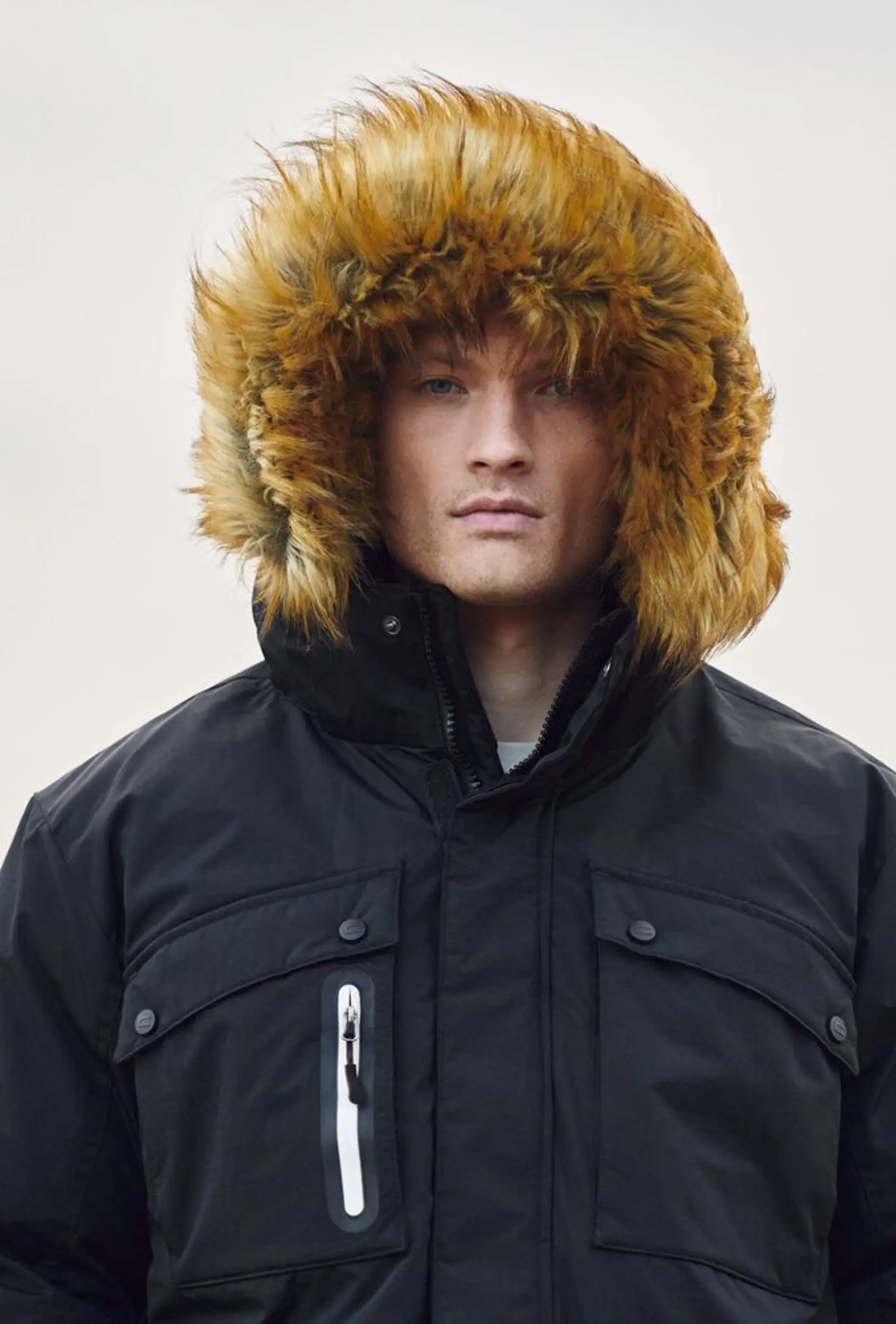 Bild på Malamute Bild på Malamute