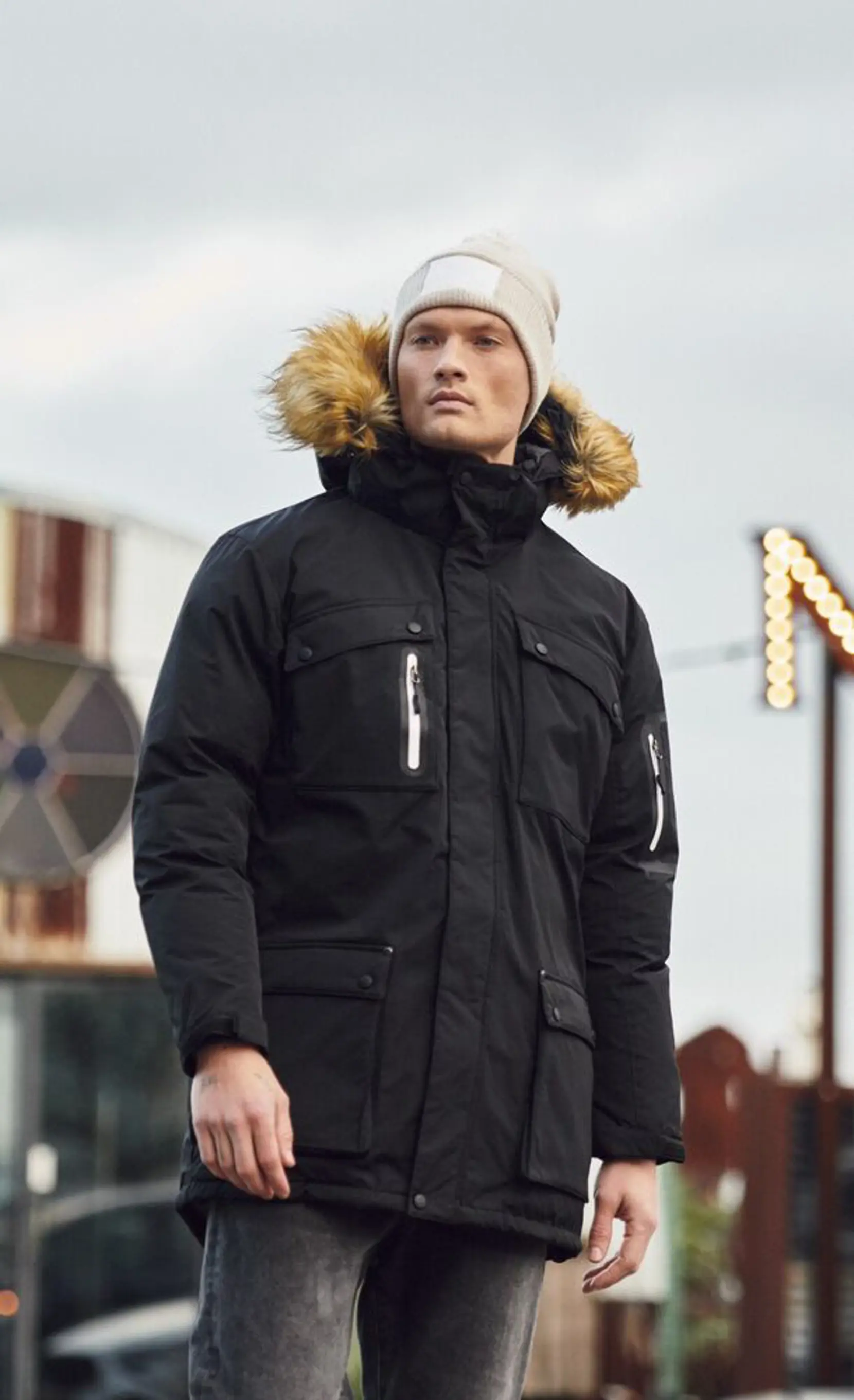 Bild på Malamute Bild på Malamute