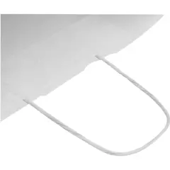 Bild på Kraft papperspåse 80–90 g/m2 med tvinnade handtag– 25 x 15 x 32 cm