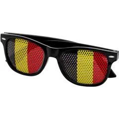 Bild på Vision solglasögon