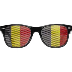 Bild på Vision solglasögon