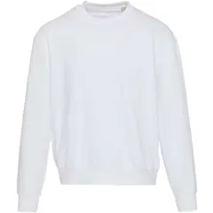 Bild på Boris 280 g/m2 oversized unisex-tröja med rund hals av organiskt OCS-material