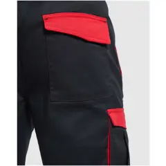 Bild på Tahoe 250 g/m2 arbetsshorts