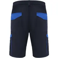 Bild på Tahoe 250 g/m2 arbetsshorts