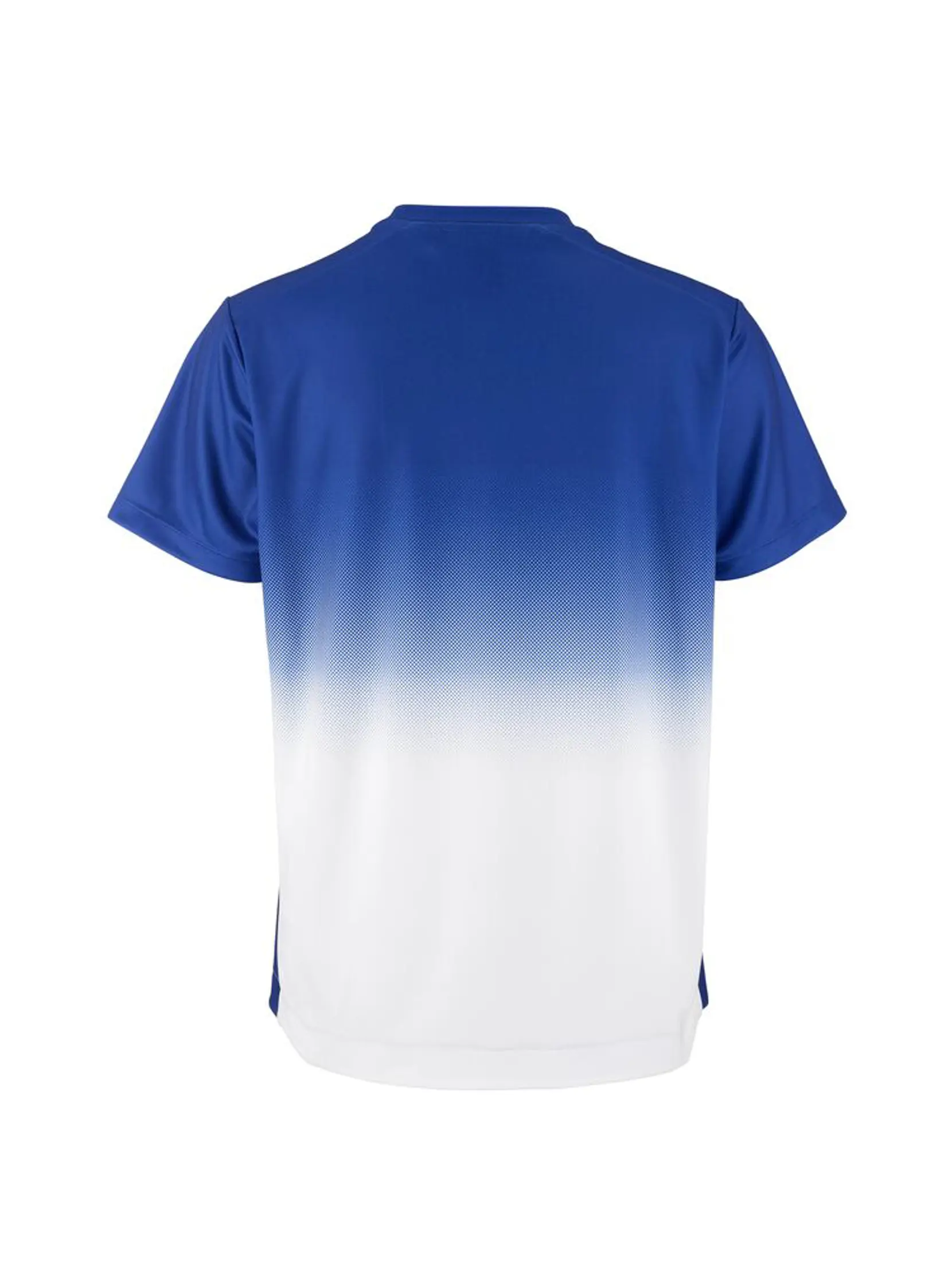 Bild på Evolve 2.0 Structured Graphic Jersey W Bild på Evolve 2.0 Structured Graphic Jersey W