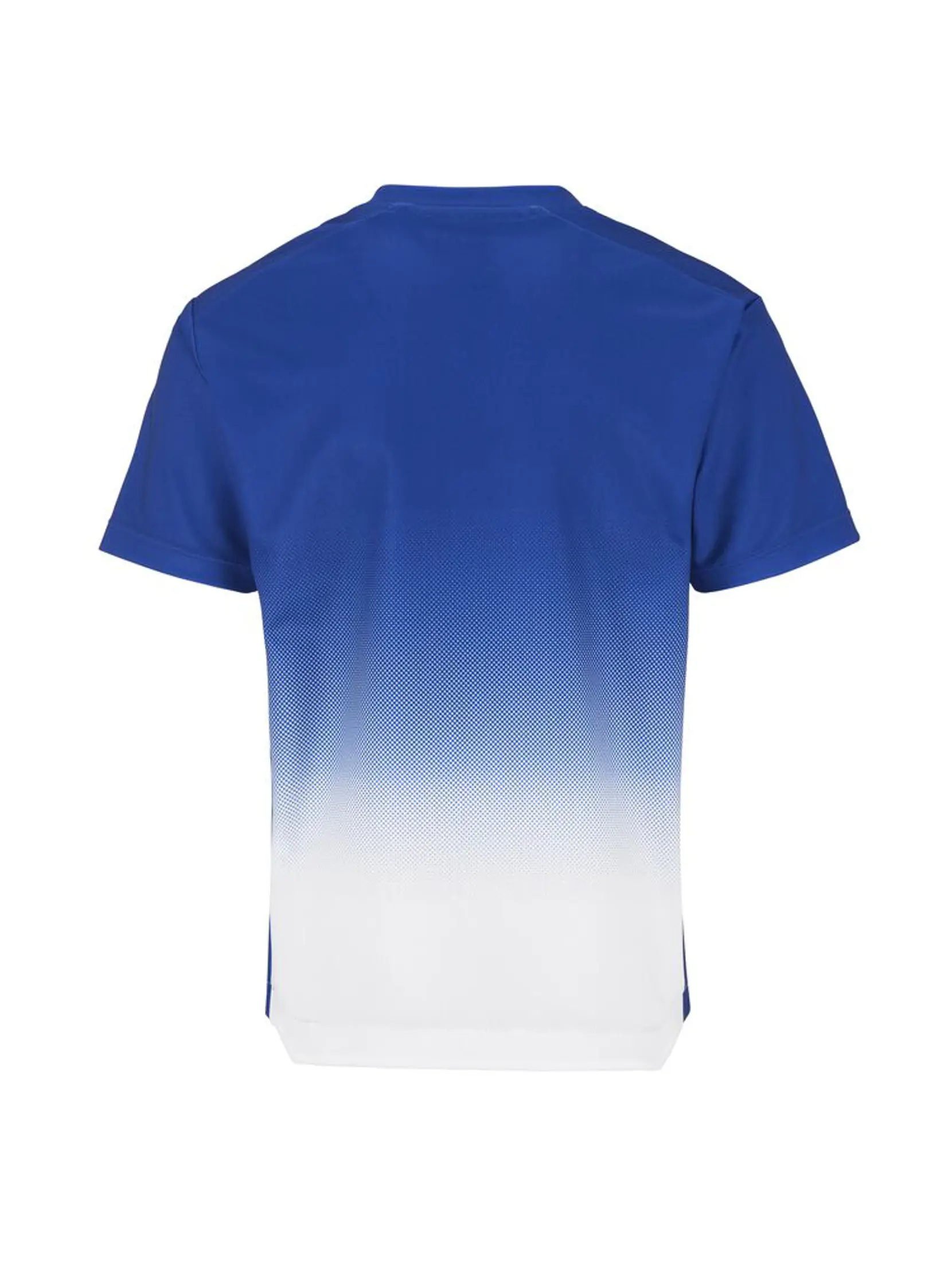 Bild på Evolve 2.0 Structured Graphic Jersey JR Bild på Evolve 2.0 Structured Graphic Jersey JR