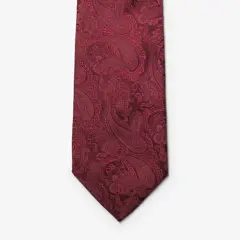 Bild på Solid Paisley Tie With Giftbox