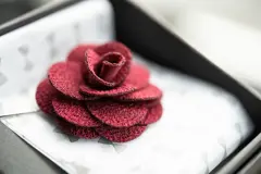 Bild på Solid Hankie & Lapel Pin With Giftbox