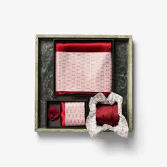 Bild på Solid Hankie & Lapel Pin With Giftbox