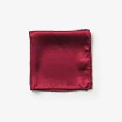 Bild på Solid Hankie & Lapel Pin With Giftbox