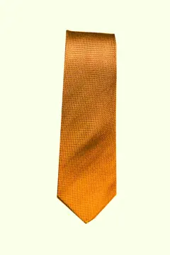 Bild på Tie Silk Oxford