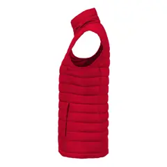Bild på Arches Vest Woman