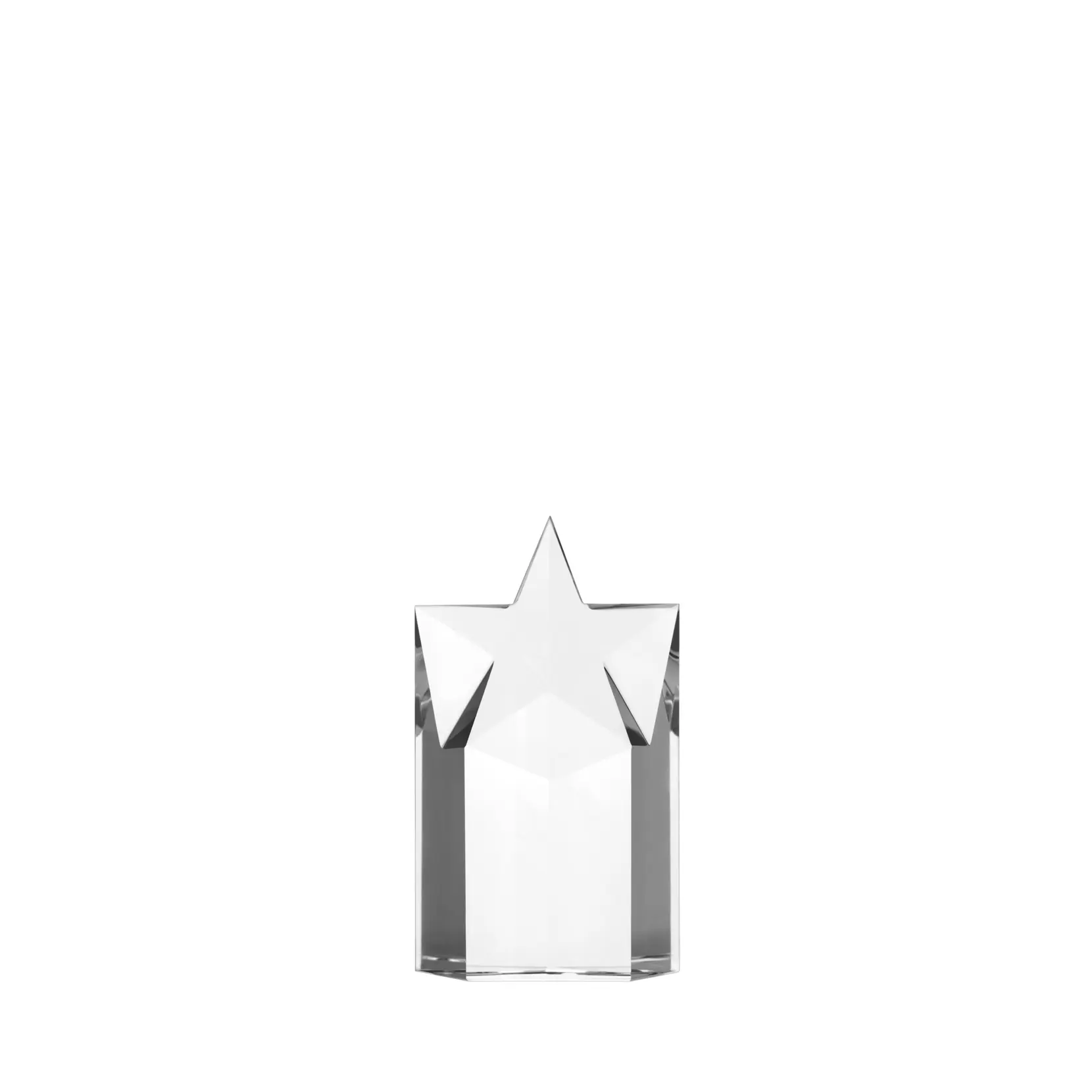 Bild på Starlite Award Bild på Starlite Award