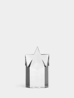 Bild på Starlite Award