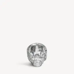 Bild på Still life skull ljuslykta 85mm
