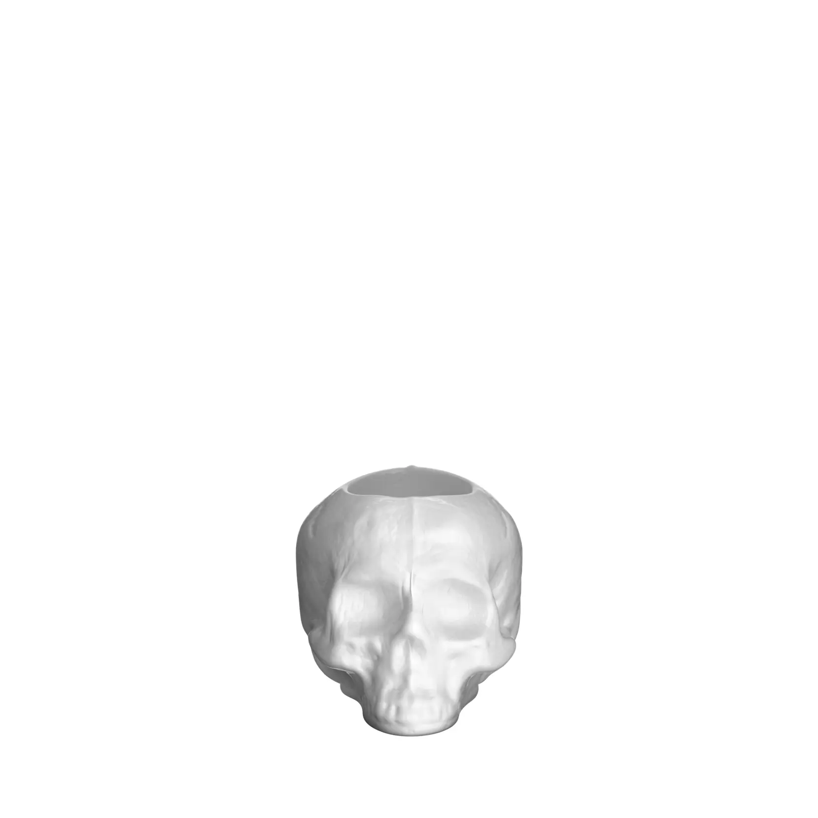Bild på Still Life skull ljuslykta vit 85mm