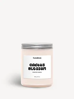 Bild på Mind doftljus 550gr Cactus Blossom